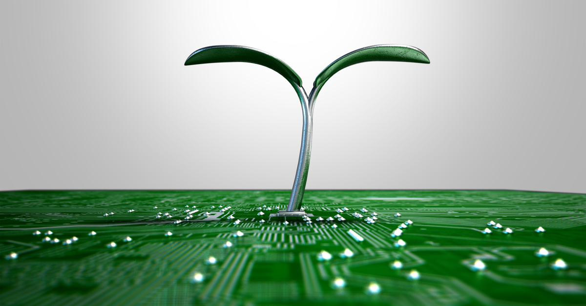 Green shoots emerging from circuit board